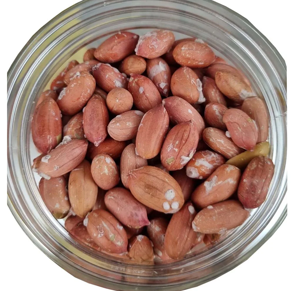 بادام زمینی ارگانیک طعم خونه - 800 گرم بسته 2 عددی