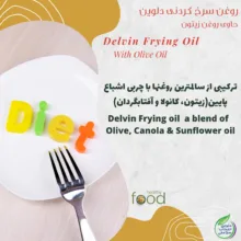 روغن سرخ کردنی بر پایه روغن زیتون دلوین - 1800 میلی لیتر مجموعه 6 عددی