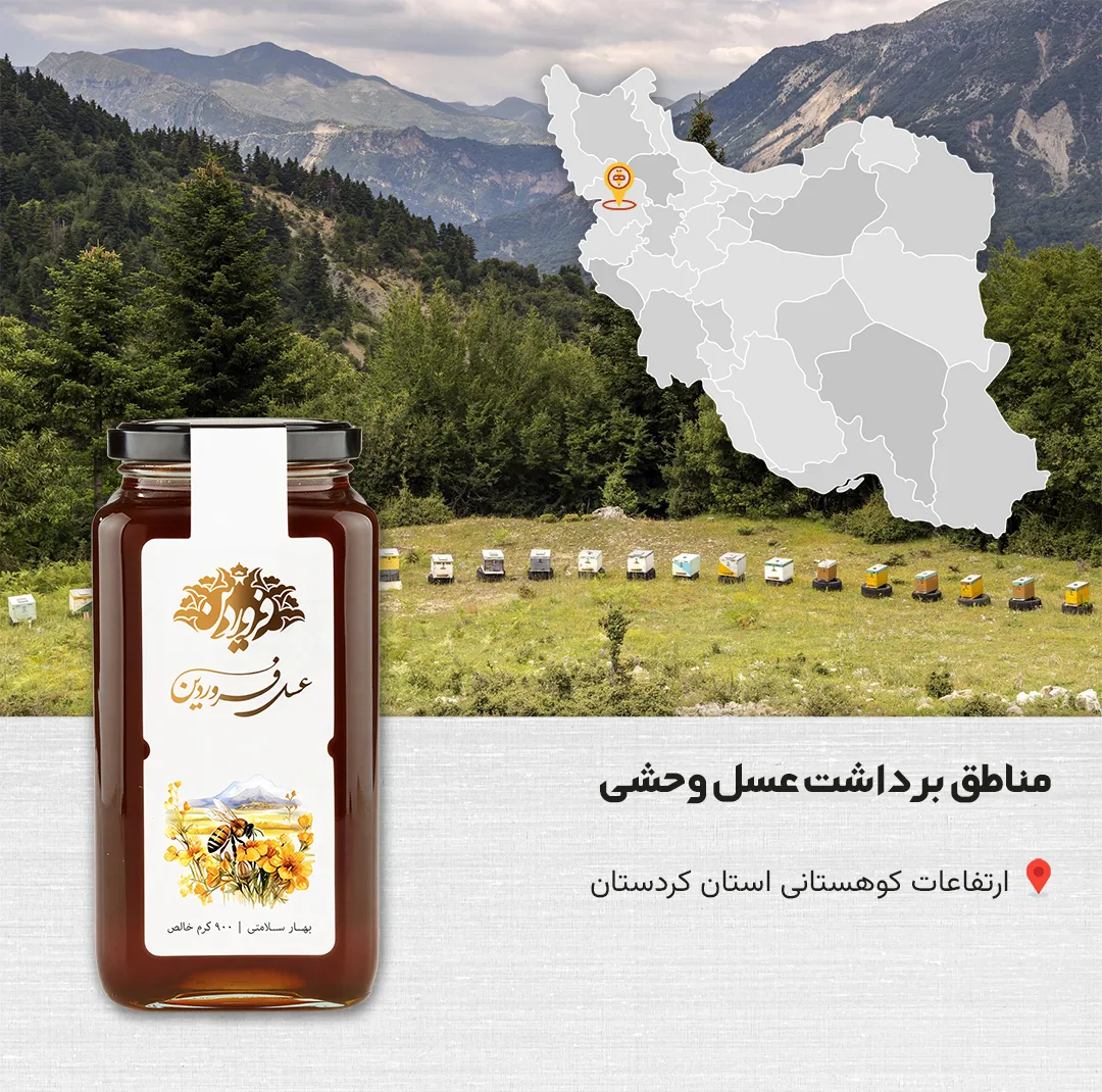 عسل طبیعی وحشی کوهی فروردین - 900 گرم