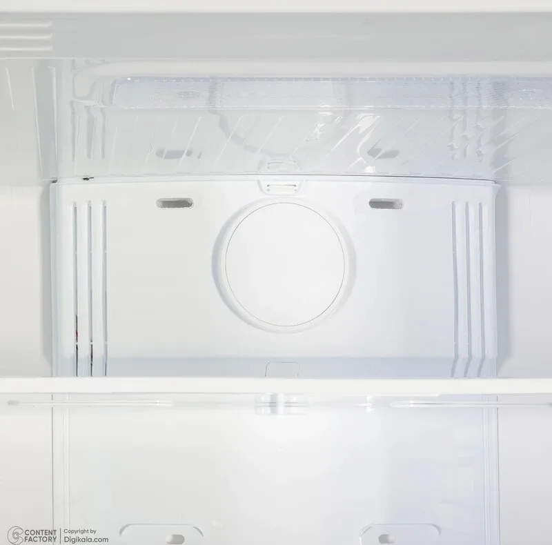 یخچال و فریزر 21 فوت رنزو مدل RF8410N-E2ICE