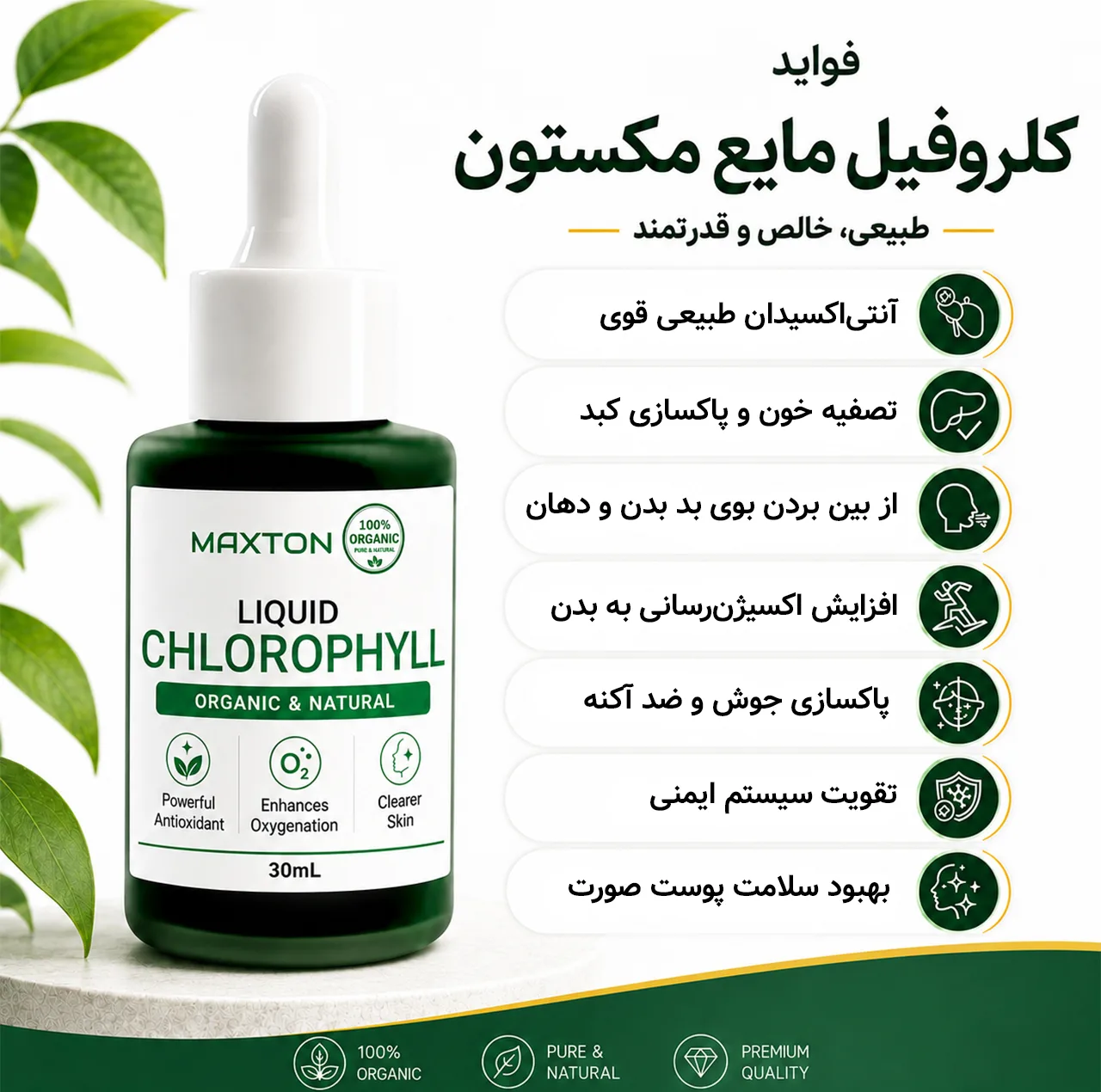 کلروفیل مایع مکستون مدل Organic حجم 30 میلیلیتر