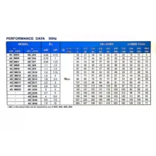 پمپ شناور 1.5 اسب بخار مارکوئیس مدل 4SWM8/9 به همراه کلید قطع و وصل
