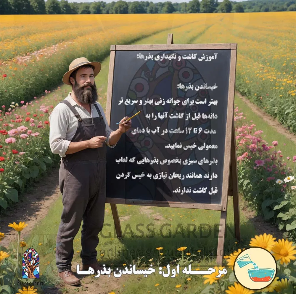 بذر کدو تنبل غول پیکر گلس گاردن مدل GL02