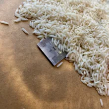 برنج هاشمی درجه 1 گیلان بازرگانی برنج نور - 10 کیلوگرم