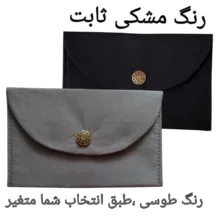 جای دستمال کاغذی الیزاسوینگ مدل جیبی کد excellent _02 مجموعه دو عددی