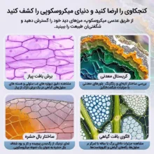 میکروسکوپ جیبی مدل MG10085-3