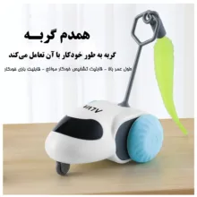اسباب بازی هوشمند گربه مدل YC-DCT58