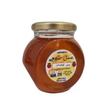 عسل طبیعی کوهستان - 450 گرم