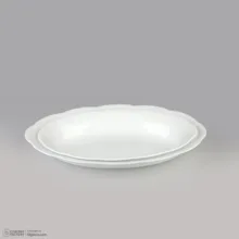 دینو مدل 001 دیس آرکوپال بسته 2 عددی، ابعاد 32×5×22 و 28×5×18 سانتی‌متر، وزن 540 و 490 گرم، قابل شستشو با دست و ماشین ظرفشویی