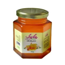 عسل چهل گیاه گلهای رنگارنگ – 450 گرم