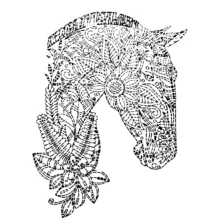 شابلون کد C21