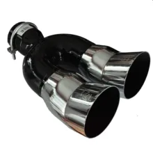 اگزوز