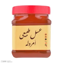 عسل طبیعی گشنیز اَمروله - 1000 گرم