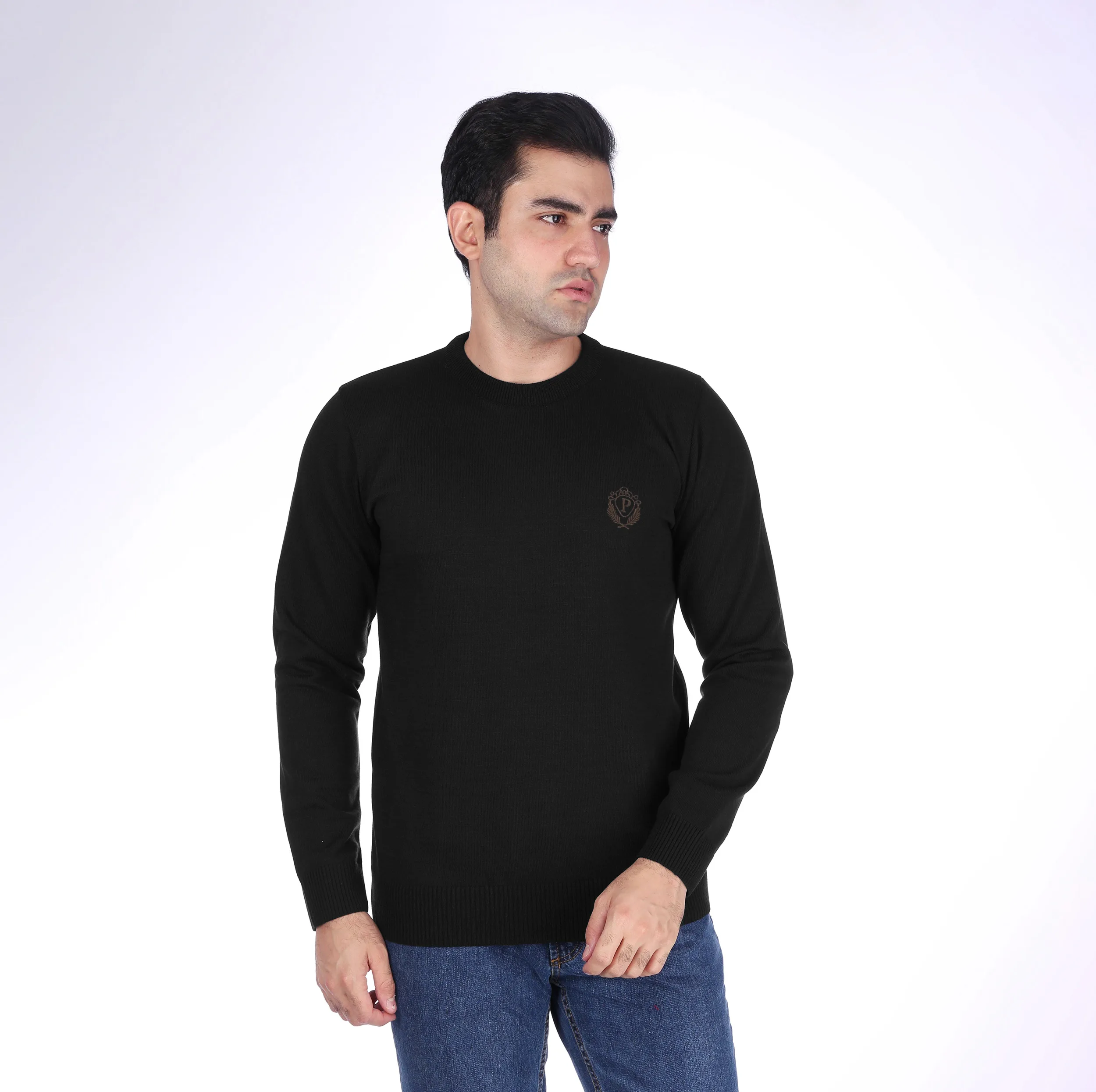 پلیور مردانه تریکو پاییزان مدل PR700