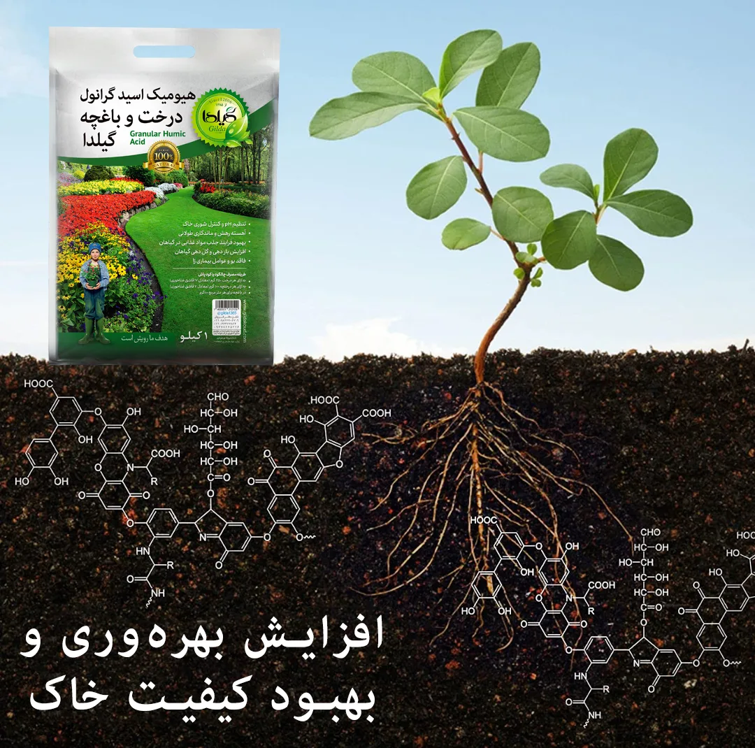 هیومیک اسید گرانول درخت و باغچه گیلدا مدل GHAG1 وزن 1 کیلوگرم
