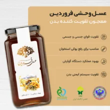 عسل طبیعی وحشی کوهی فروردین - 900 گرم