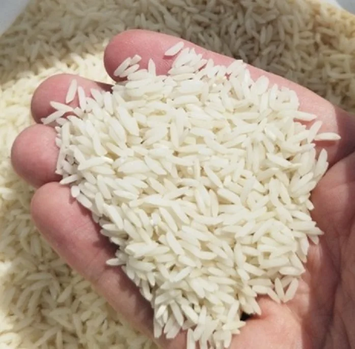 برنج طارم هاشمی شمال - 10 کیلوگرم