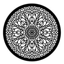 شابلون کد SP32-1