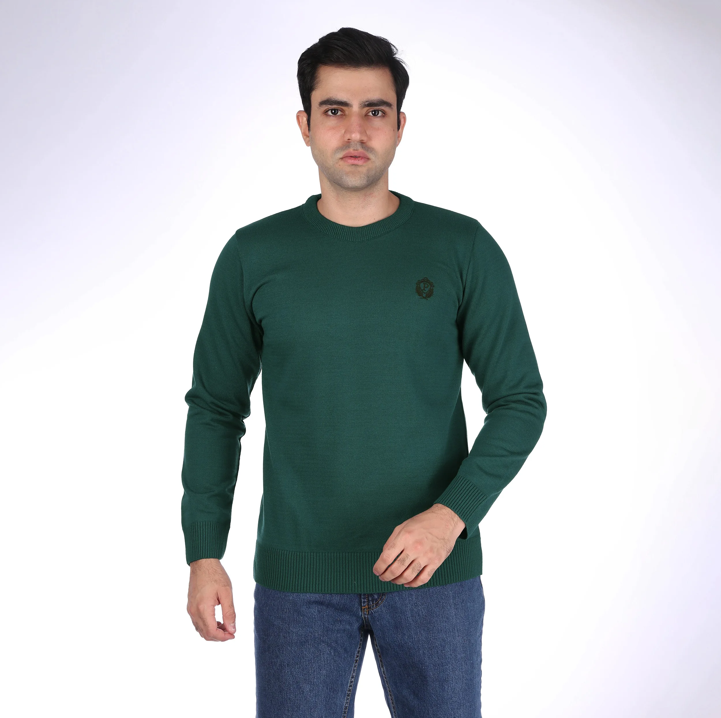 پلیور یقه گرد مردانه تریکو پاییزان مدل  PR700