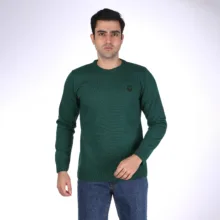 پلیور مردانه تریکو پاییزان مدل PR700