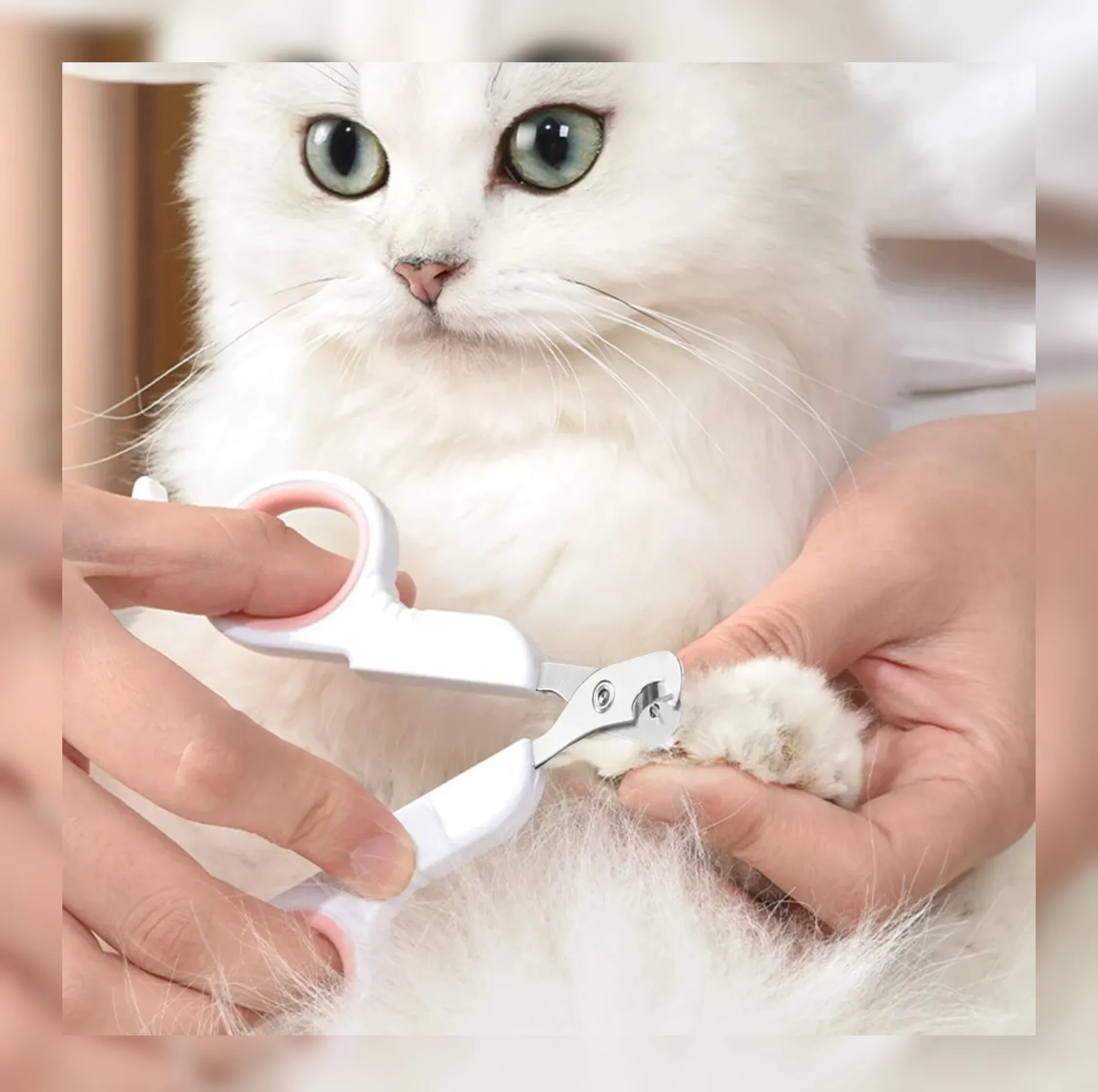 ناخن گیر گربه مدل pakeway