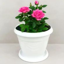 گلدان اشکان مدل G06 سایز 35*31 سانتی متر
