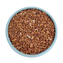 مغز بادام کوهی الوک - 1000 گرم