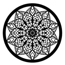 شابلون کد SP30-1