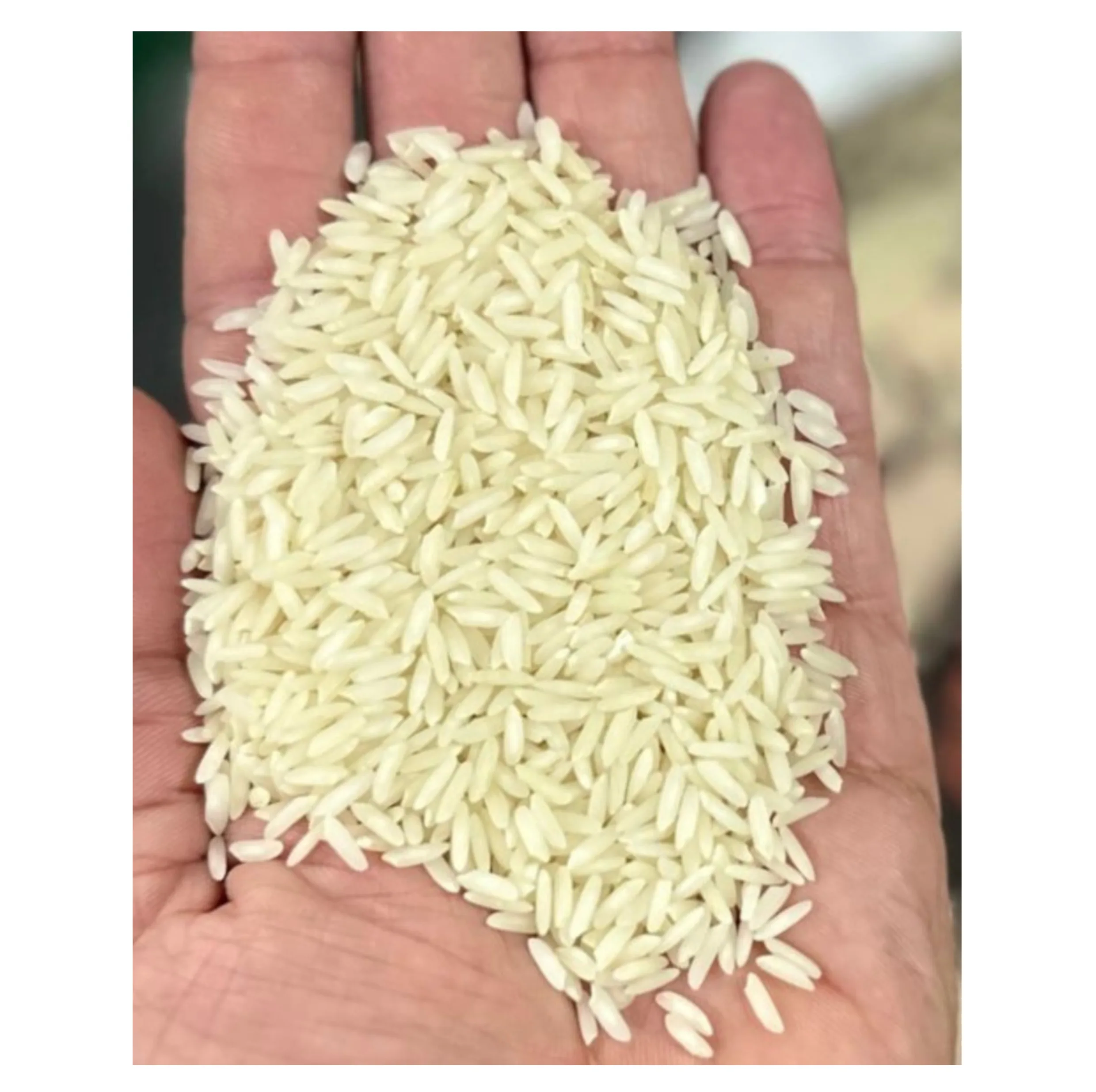 برنج هاشمی اعیانی فریدونکنار برکت - 5 کیلوگرم