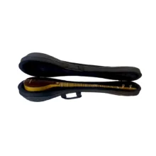 هارد کیس سه تار مدل MP01919