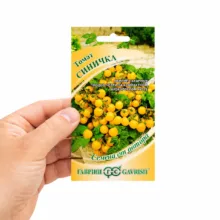 بذر گوجه گیلاسی زرد گلدانی پاکوتاه گاوریش مدل 865 وزن 0.04 گرم