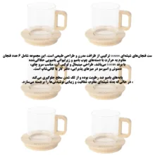 سرویس چای خوری 12 پارچه 6 نفره شاهین مدل SHN_121