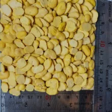 لپه باقلا دلاوران - ۷۰۰ گرم