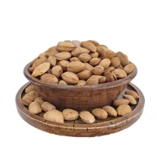 بادام درختی خام شیراز - 1000 گرم
