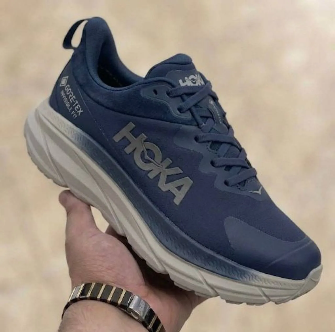 کفش پیاده روی مردانه هوکا مدل challenger goretex