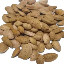 بادام درختی با پوست ایرانی ـ 1000 گرم