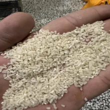 برنج نیم دانه طارم زرین خوشه طبرستان - 5 کیلو گرم