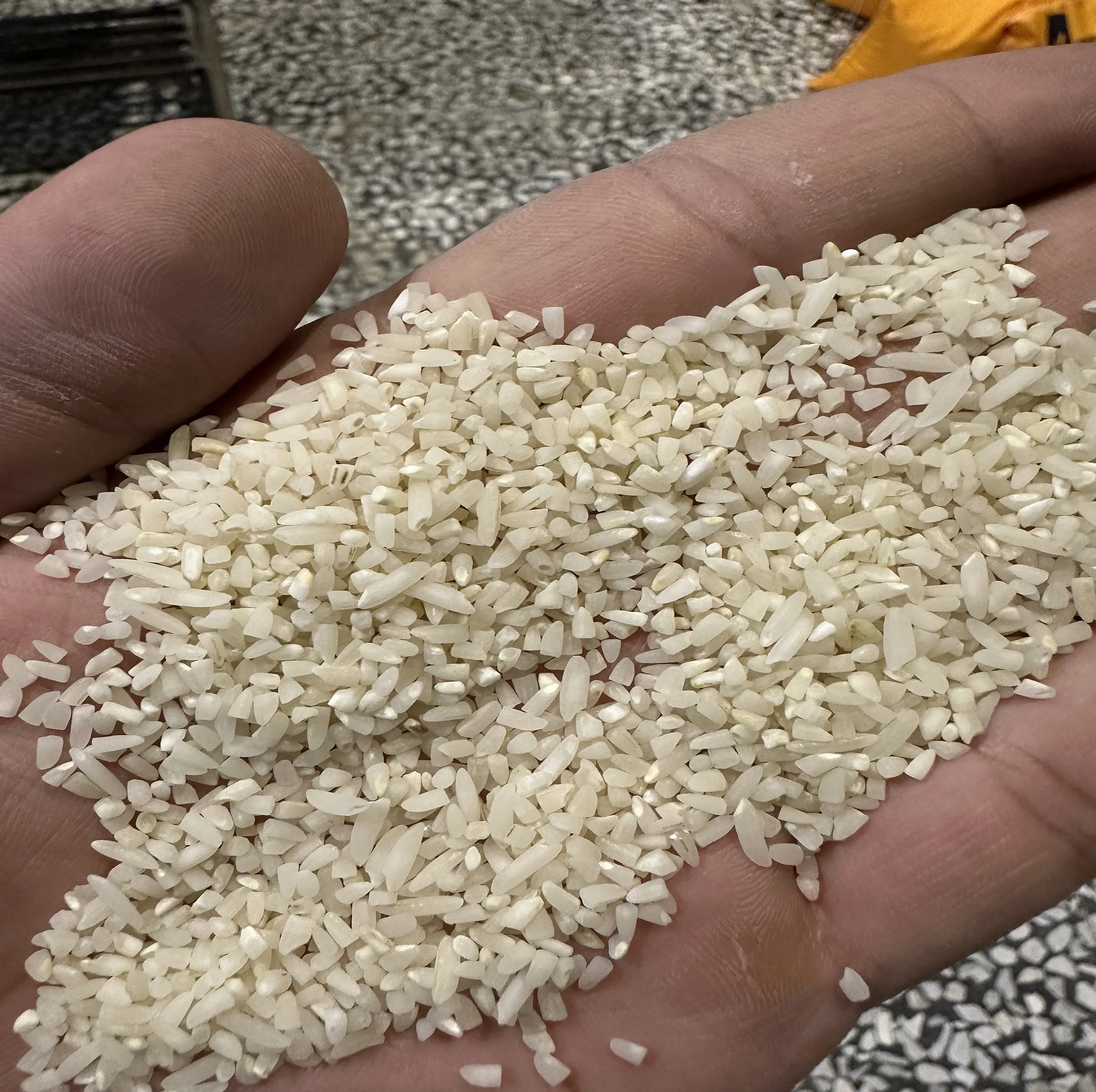 برنج نیم دانه طارم زرین خوشه طبرستان - 5 کیلو گرم