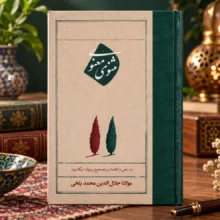 کتاب مثنوی معنوی اثر مولانا جلال الدین محمد بلخی نشر امیر کبیر