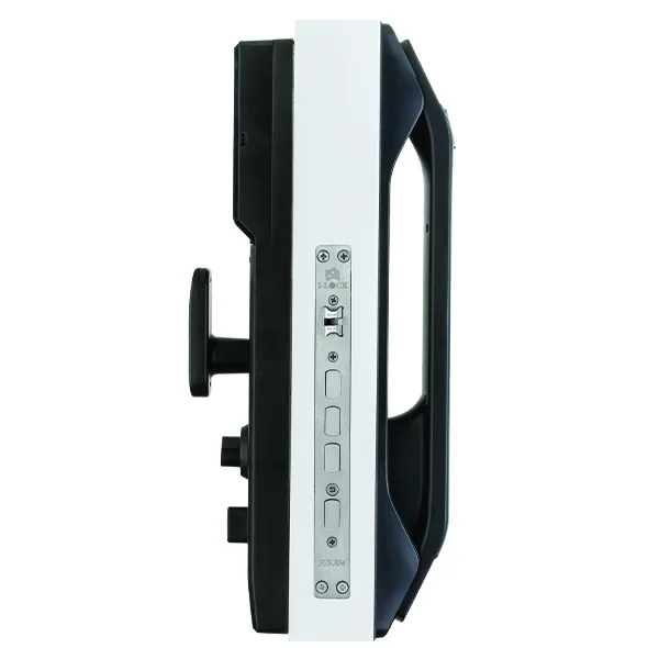 دستگیره هوشمند مدل DGL910
