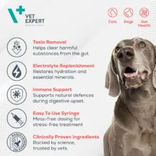خمیر بیوپروتکت وت اکسپرت سگ و گربه مدل BioProtect Paste مناسب برای سلامت دستگاه گوارش حجم 15 میلیلیتر