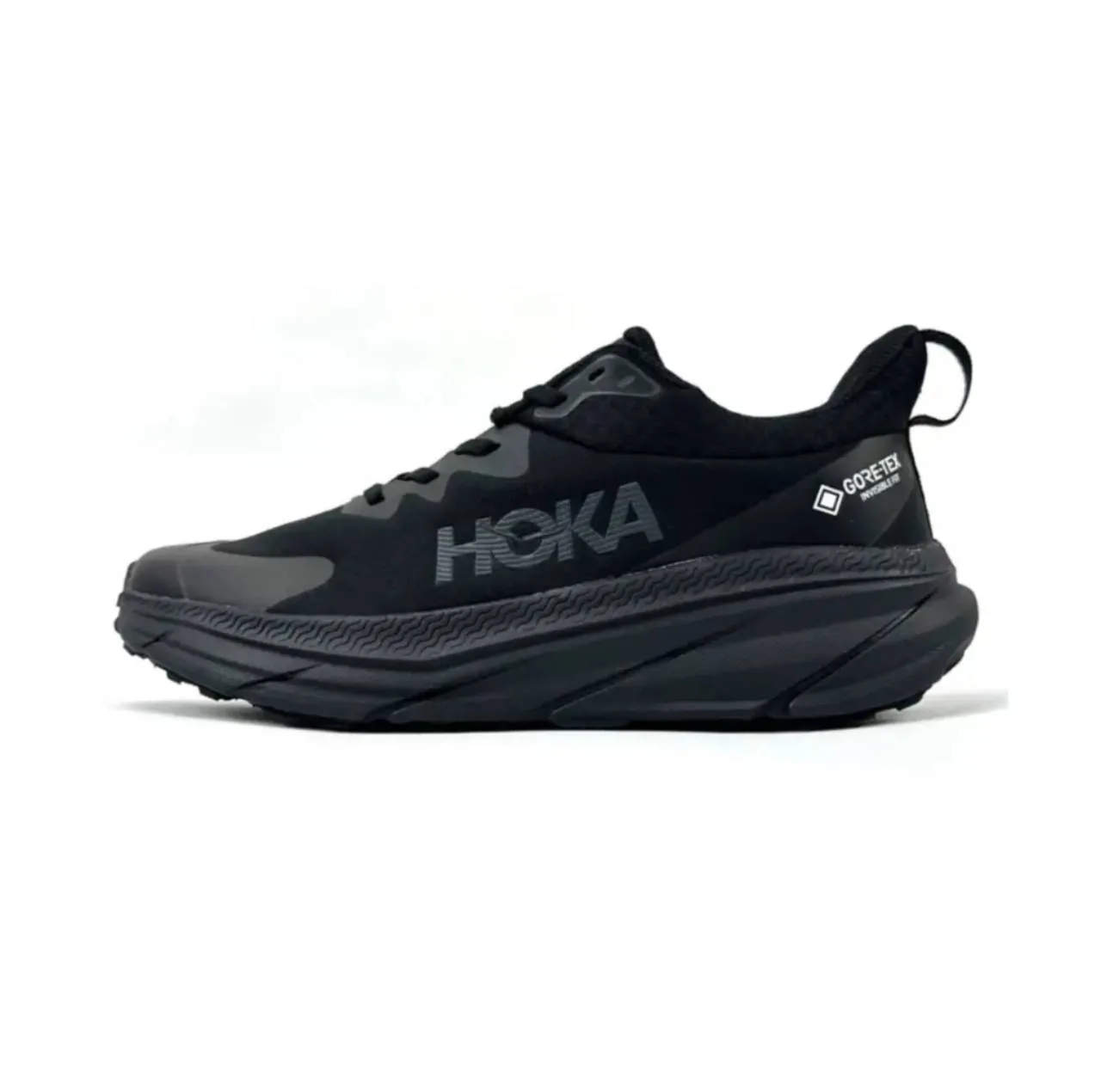 کفش پیاده روی مردانه هوکا مدل challenger goretex