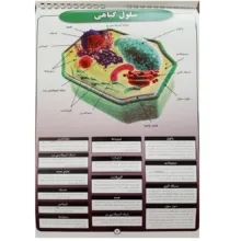 پوستر آموزش مدل زیست شناسی سلول