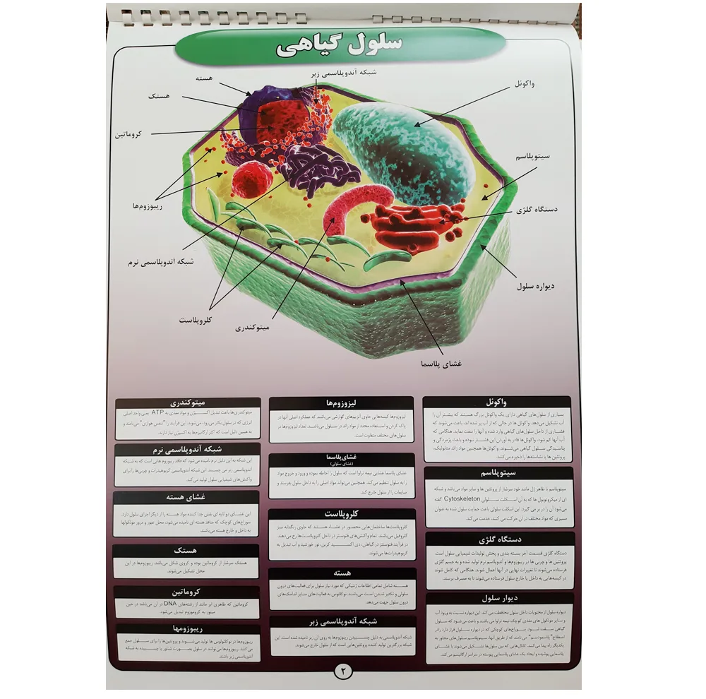 پوستر آموزش مدل زیست شناسی سلول