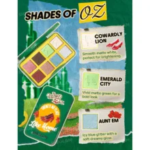 مجموعه آرایش صورت شیگلم مدل The Wizard Of OZ Version2 بسته 10 عددی