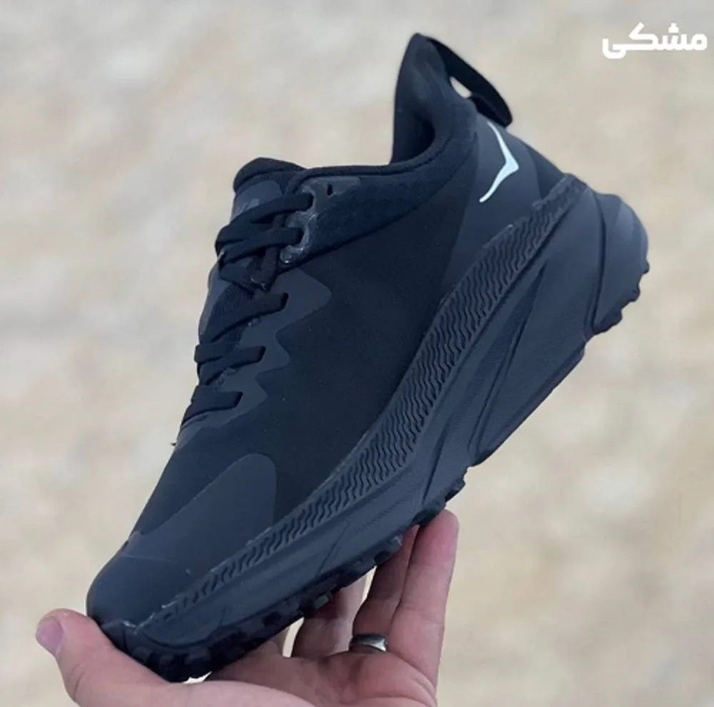 کفش پیاده روی مردانه هوکا مدل challenger goretex