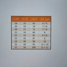 شلوار دخترانه مدل دمپا کلوش کد ASH553