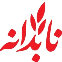 برنج شیرودی مازندران نابدانه - ۱۰ کیلوگرم