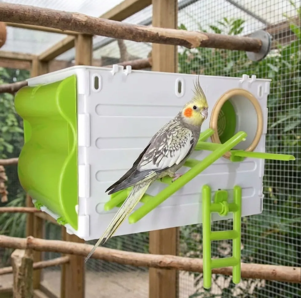 لانه پرنده عروس هلندی مدل جاوا