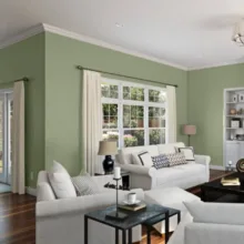 رنگ سبز زیتونی مات اکرولیک تات کد 5-18-5 حجم 1لیتر